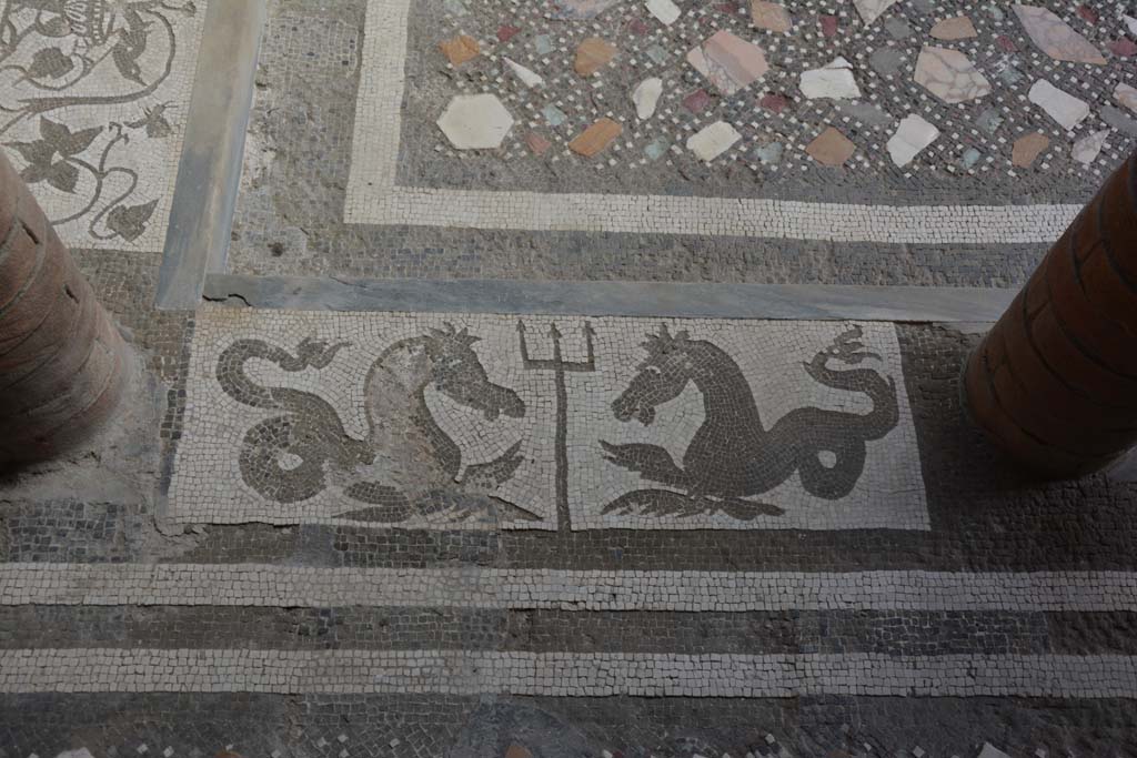 I.10.4 Pompeii. September 2019. Room 46, mosaic of two seahorses and a trident.
Foto Annette Haug, ERC Grant 681269 DCOR.

