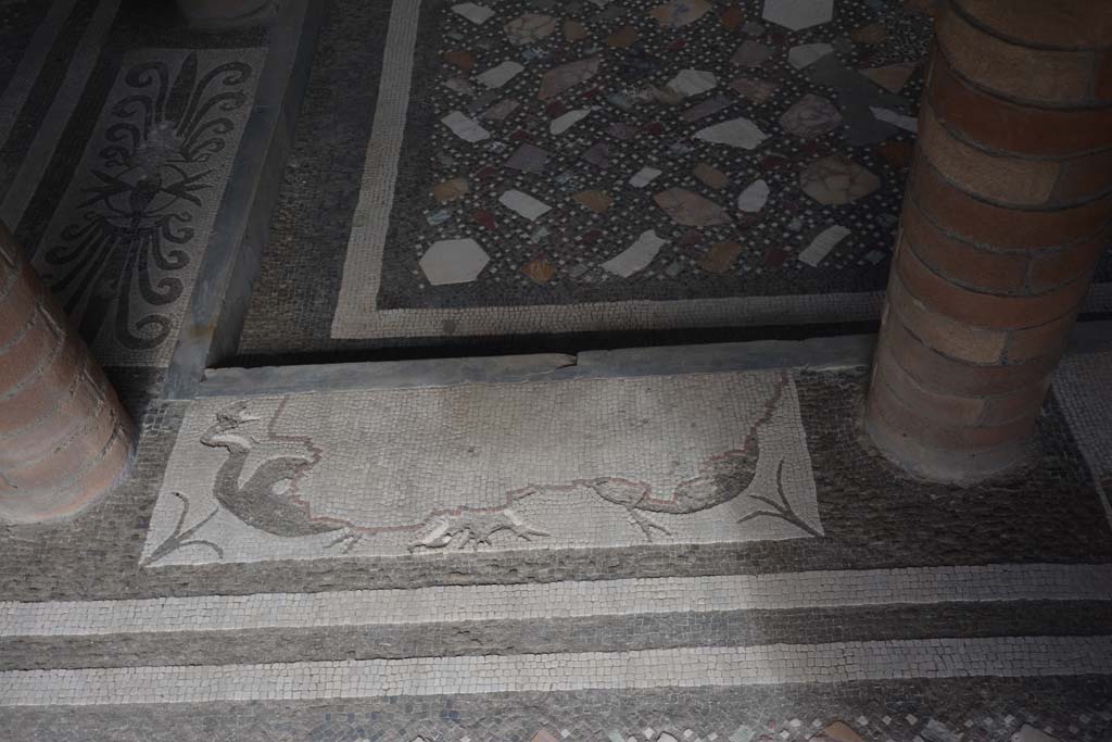 I.10.4 Pompeii. September 2019. Room 46, mosaic in baths atrium.
Foto Annette Haug, ERC Grant 681269 DCOR.
