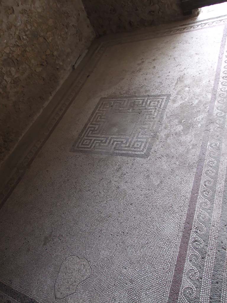I.10.4 Pompeii. December 2006. Room 47, mosaic floor. Looking west.