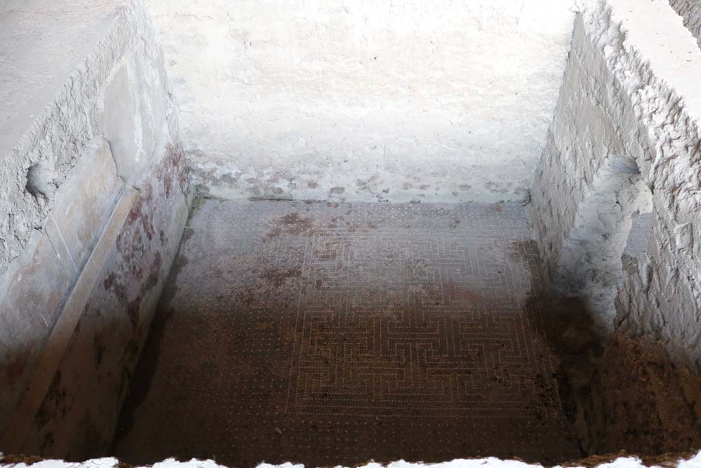 I.10.4 Pompeii. December 2018. Room 18, mosaic flooring in lower room. Photo courtesy of Aude Durand.