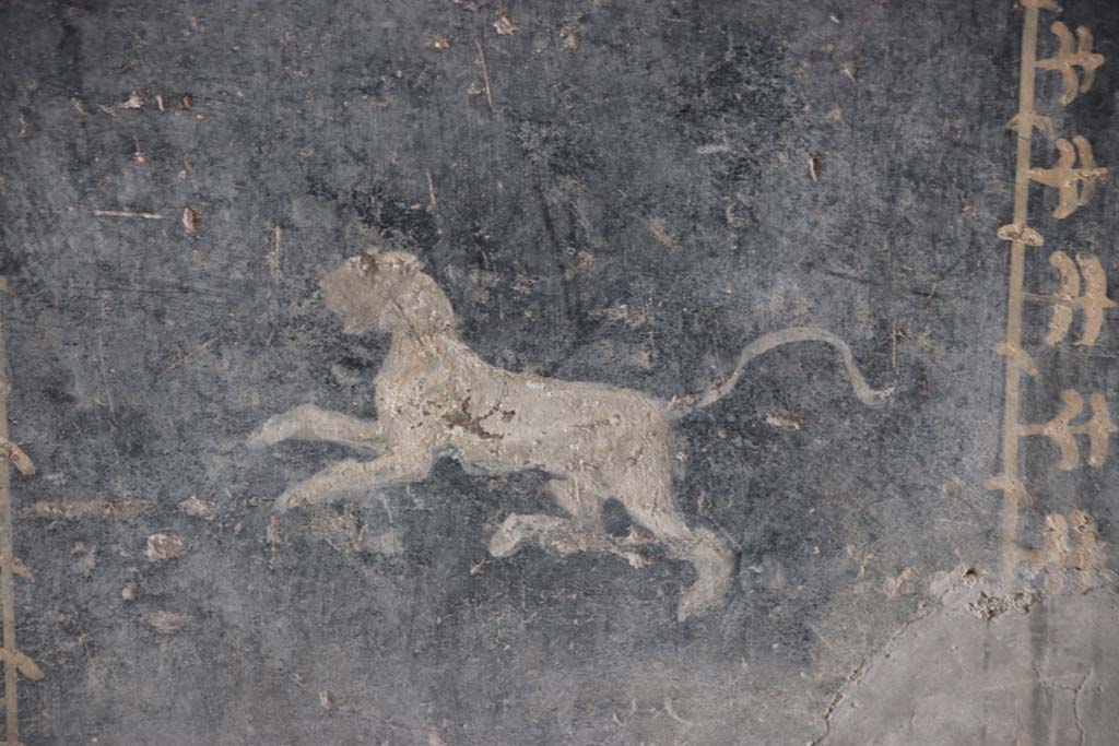 I.10.4 Pompeii. September 2021. 
Room 8, detail of painted panther from middle of zoccolo on east wall of tablinum. Photo courtesy of Klaus Heese.
