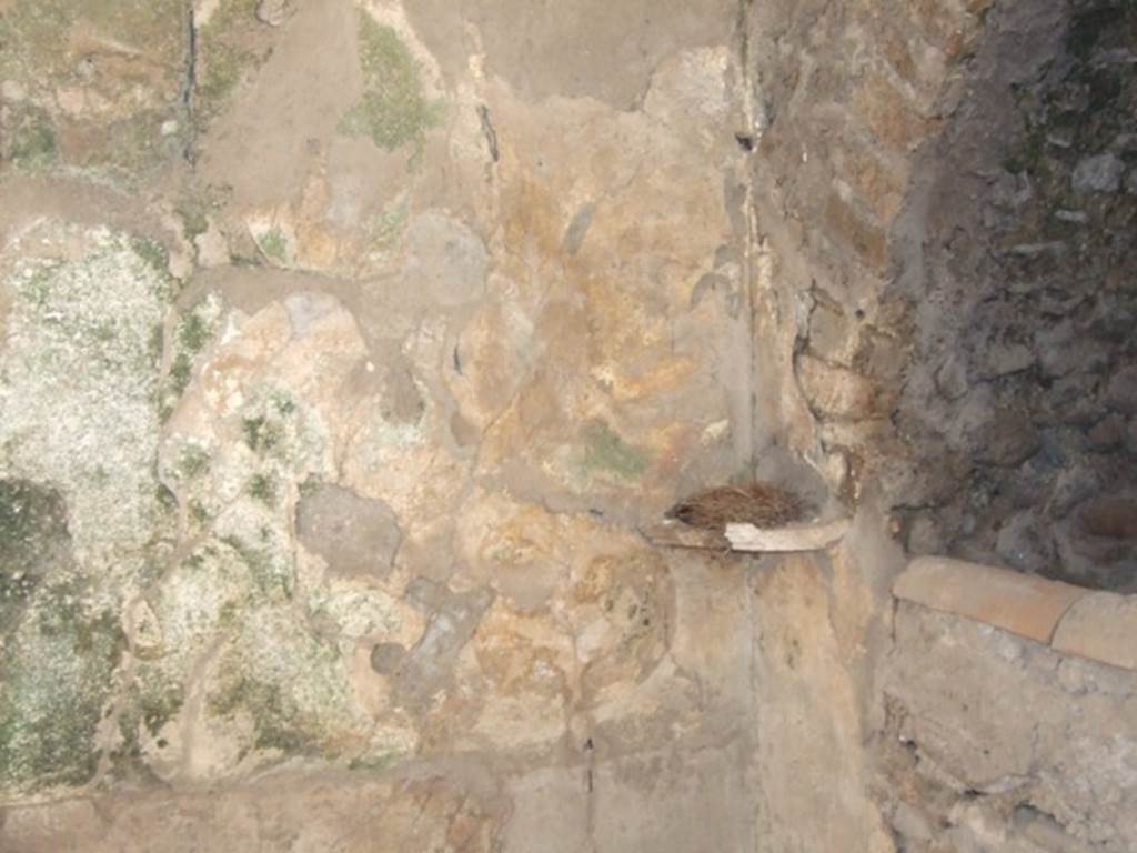 I.10.7 Pompeii. March 2009. Room 9, south-west corner, remains of lararium, with two serpents. See Frhlich, T., 1991. Lararien und Fassadenbilder in den Vesuvstdten. Mainz: von Zabern. (L16).

