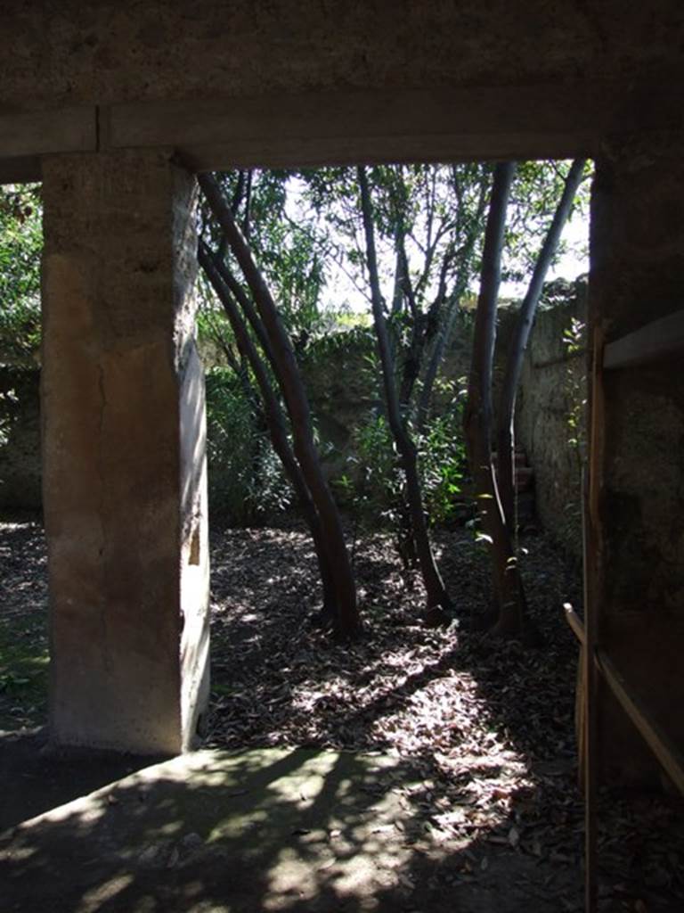 I.10.7 Pompeii. March 2009.  Room 10.  Looking south across the garden from the north portico.