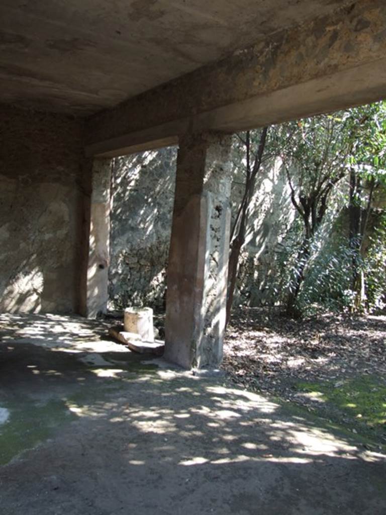 I.10.7 Pompeii. March 2009. Room 10.  Looking south east across the garden from the north portico.