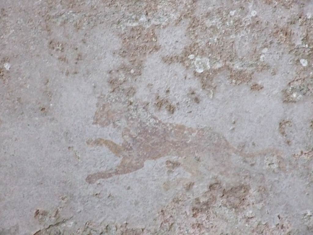 I.10.8 Pompeii. March 2009. Room 8, east wall of tablinum with remains of a painting of a panther.