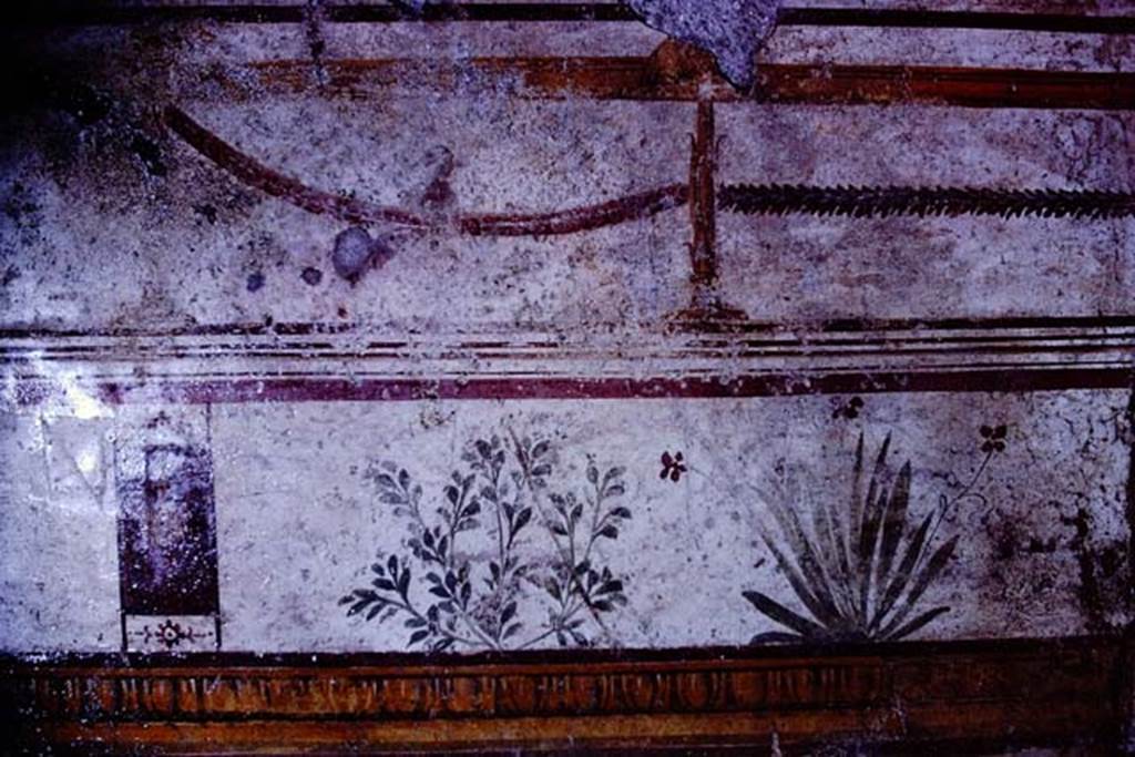 I.10.8 Pompeii. 1966. Room 8, detail of painted plants from south end of east wall. Photo by Stanley A. Jashemski.
Source: The Wilhelmina and Stanley A. Jashemski archive in the University of Maryland Library, Special Collections (See collection page) and made available under the Creative Commons Attribution-Non Commercial License v.4. See Licence and use details.
J66f0523
