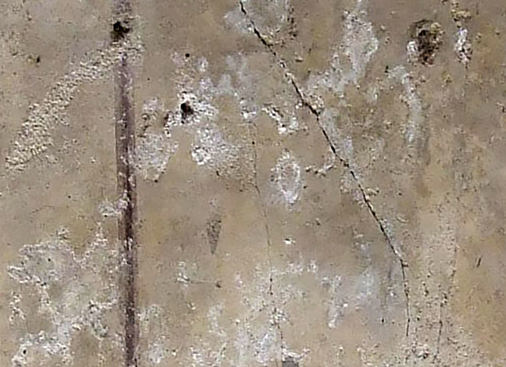 .10.8 Pompeii. March 2009. Room 3, south wall of cubiculum west of the window. Graffiti CIL IV  8382 and 8384.
According to Epigraphik-Datenbank Clauss/Slaby (See www.manfredclauss.de) this reads
Rar(us)      [CIL IV 8382]
Contemno derideo Latona(m) tua(m) Salvilla(m)      [CIL IV 8434]

According to the Epigraphic Database Roma these are Latin words written as Greek and read
Κοντεμ̣νω δηρειδιω Λατωνα τουα[μ] Ϲαλβιλλα      [CIL IV 8434]
Contemno, derideo Latona(m) tua(m), Salvilla

See Varone, A., 1994.Erotica Pompeiana: iscrizioni d'amore sui muri di Pompei, Rome, p. 98 (2)
See Varone, A., 2012. Titulorum graphio exaratorum qui in CIL vol. IV collecti sunt: Imagines, Roma 2012, Vol. I, p. 79, con foto (3)
