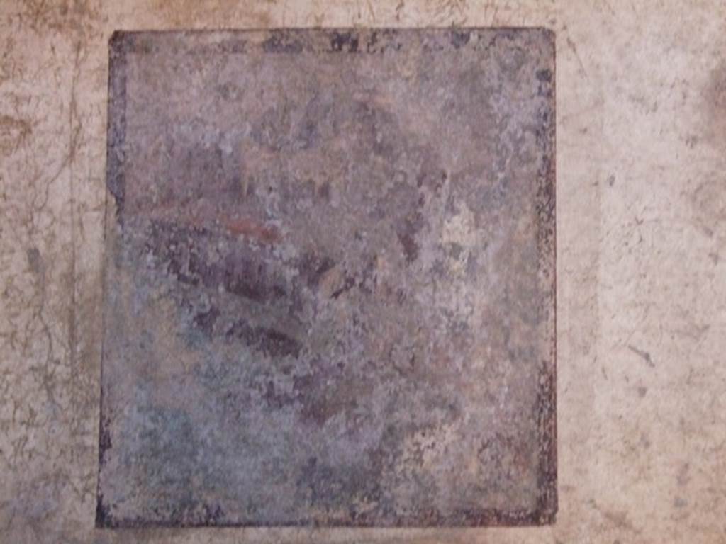 I.10.11 Pompeii. March 2009. Room 6, south wall of ala or exedra with remains of wall painting. According to Peters, of the left-hand landscape, only fragments showing buildings can still be seen. In 1963, in the centre left, he could make out a porticus on the water, but the rest was no longer describable. (p.151) 
