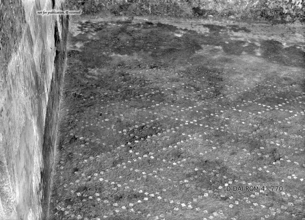 I.10.11 Pompeii. c.1930. Room 6, flooring in south ala.  
DAIR 41.770. Photo © Deutsches Archäologisches Institut, Abteilung Rom, Arkiv.
See Pernice, E.  1938. Pavimente und Figürliche Mosaiken: Die Hellenistische Kunst in Pompeji, Band VI. Berlin: de Gruyter, (tav. 48,4 above.)
