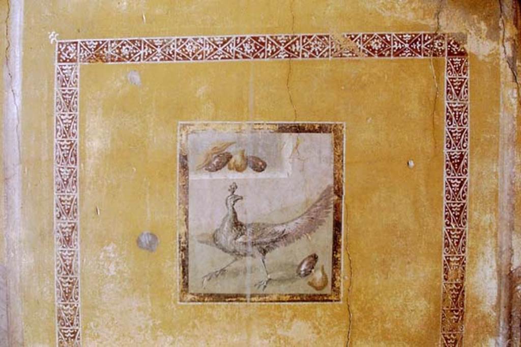 I.10.11 Pompeii. March 2009. Room 9, north end of east wall of cubiculum.    