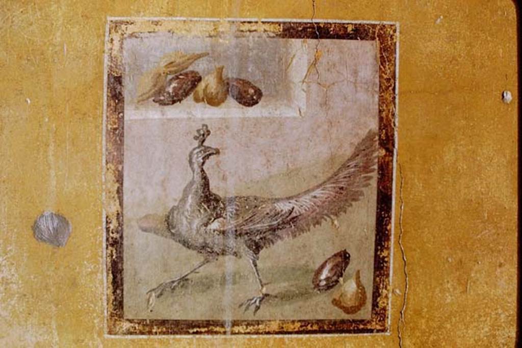 I.10.11 Pompeii. March 2009. Room 9, north end of east wall of cubiculum.    
Painting of a bird with a ribbon in its beak.  See Bragantini, de Vos, Badoni, 1981. Pitture e Pavimenti di Pompei, Parte 1. Rome: ICCD. (p.141).

