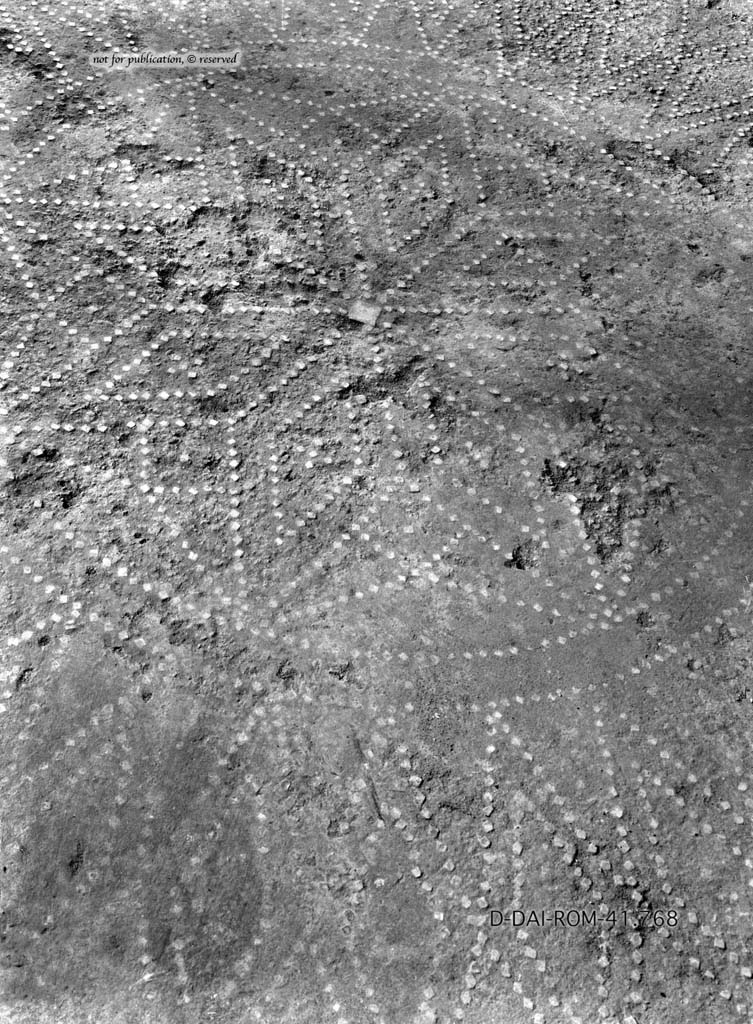 1.10.11 Pompeii. c.1930. Room 11, flooring in oecus. 
DAIR 41.768. Photo © Deutsches Archäologisches Institut, Abteilung Rom, Arkiv.
See Pernice, E.  1938. Pavimente und Figürliche Mosaiken: Die Hellenistische Kunst in Pompeji, Band VI. Berlin: de Gruyter, (tav. 48,2 above.)

