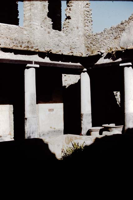 I.10.11 Pompeii. 1959. South-east corner of peristyle and upper floor, with painted panel with two ducks on east wall. Photo by Stanley A. Jashemski.
Source: The Wilhelmina and Stanley A. Jashemski archive in the University of Maryland Library, Special Collections (See collection page) and made available under the Creative Commons Attribution-Non Commercial License v.4. See Licence and use details.
J59f0293

