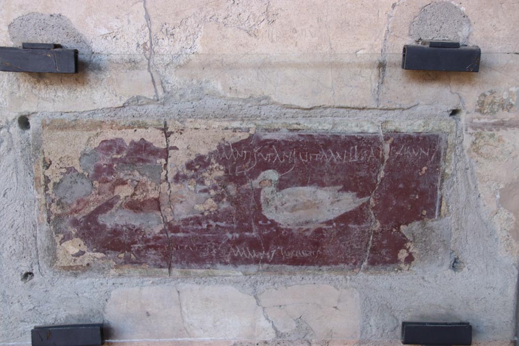 I.10.11 Pompeii. March 2009. Room 10, east wall of peristyle, on south side of doorway to room 13.  
Painting of ducks with graffito.  CIL IV 8408 a-c.
“Amantes ut apes vitam melitam exigent.” (Lovers, like bees, make life as sweet as honey).
See Bragantini, de Vos, Badoni, 1981. Pitture e Pavimenti di Pompei, Parte 1. Rome: ICCD, pp. 144-145.
