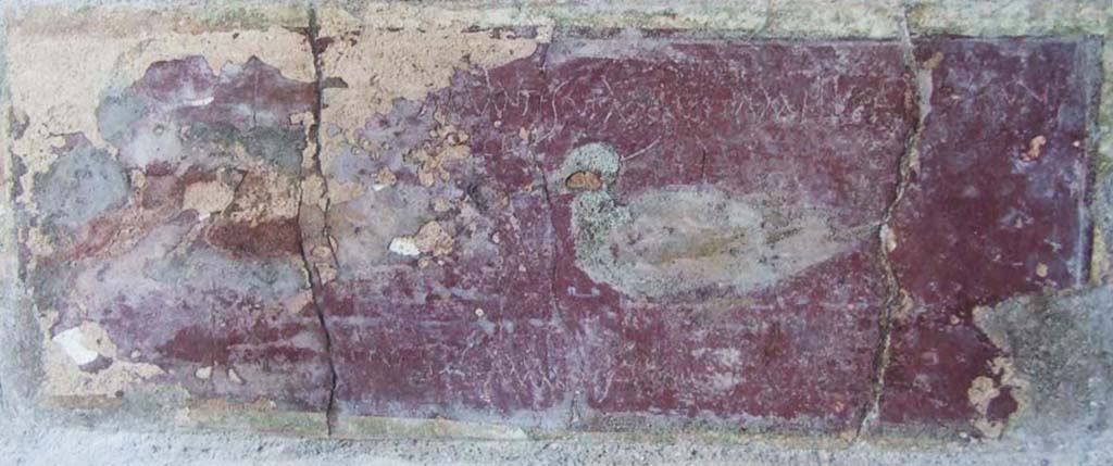I.10.11 Pompeii. March 2009. Room 10, east wall of peristyle from south side of door to room 13.  
Violet panel of painting of ducks with graffito.  CIL IV 8408 a-c.
“Amantes ut apes vitam melitam exigent.” (Lovers, like bees, make life as sweet as honey).
 
According to Epigraphik-Datenbank Clauss/Slaby (See www.manfredclauss.de), CIL IV 8408 a-c reads as -
Amantes ut apes vita(m) mellita(m) exigunt       [CIL IV 8408a]
Velle       [CIL IV 8408b]
Amantes amantes cureges      [CIL IV 8408c]

Also found on the east wall of the peristyle on the south side of room 13, on a white background near a painted garland, was CIL IV 8405.
See Bragantini, de Vos, Badoni, 1981. Pitture e Pavimenti di Pompei, Parte 1. Rome: ICCD, p. 144.

According to Epigraphik-Datenbank Clauss/Slaby (See www.manfredclauss.de), CIL IV 8405 read as –
C(aius) Ann(a)eus 
Capito 
eq(ues) coh(ortis) X pr(aetoriae) 
c(enturia) Grati                            [CIL IV 8405] 

According to Cooley, graffito CIL IV 8405 was found to the right of a doorway to a bedroom, and translates as –
Gaius Annaeus Capito, cavalryman of the 10th praetorian cohort, Gratus’ unit.
See Cooley, A. and M.G.L., 2004. Pompeii: A Sourcebook. London: Routledge, p. 177. 

