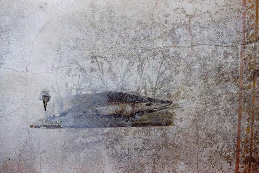 I.10.11 Pompeii. 1959. Room 7, painting of a crocodile from north end of east wall of cubiculum.  Photo by Stanley A. Jashemski.
Source: The Wilhelmina and Stanley A. Jashemski archive in the University of Maryland Library, Special Collections (See collection page) and made available under the Creative Commons Attribution-Non Commercial License v.4. See Licence and use details.
J59f0287
