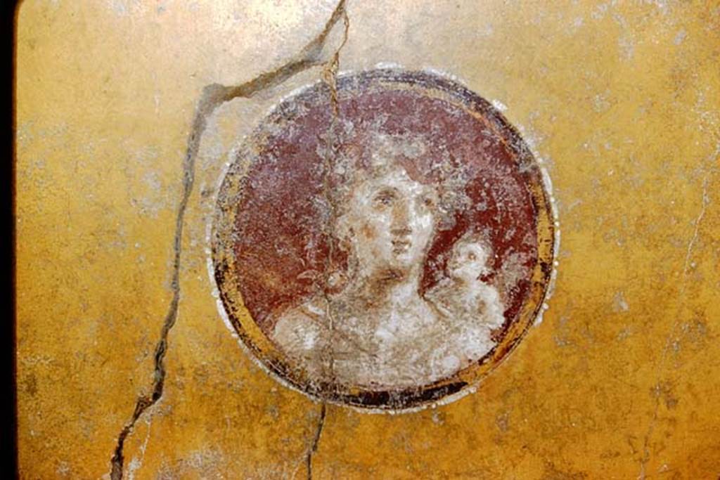 I.10.11 Pompeii. 1959. Room 13, painted portrait medallion from west wall of cubiculum.  
Photo by Stanley A. Jashemski.
Source: The Wilhelmina and Stanley A. Jashemski archive in the University of Maryland Library, Special Collections (See collection page) and made available under the Creative Commons Attribution-Non Commercial License v.4. See Licence and use details.
J59f0288
