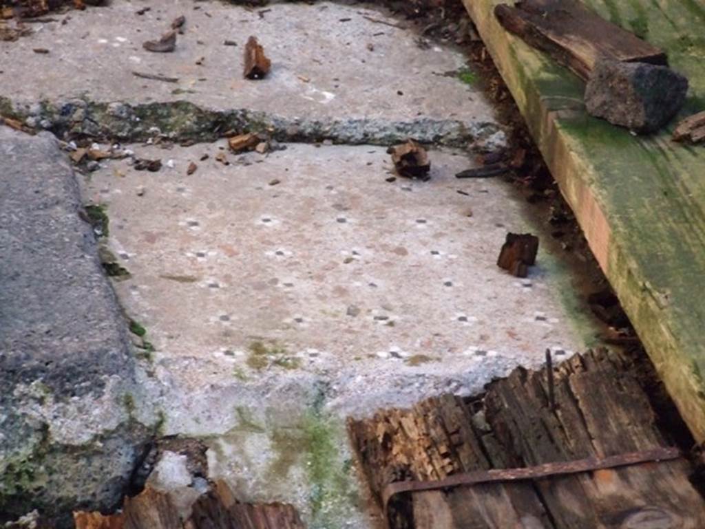 I.10.11 Pompeii. March 2009. Room 2, decoration around cistern mouth in atrium floor.  
