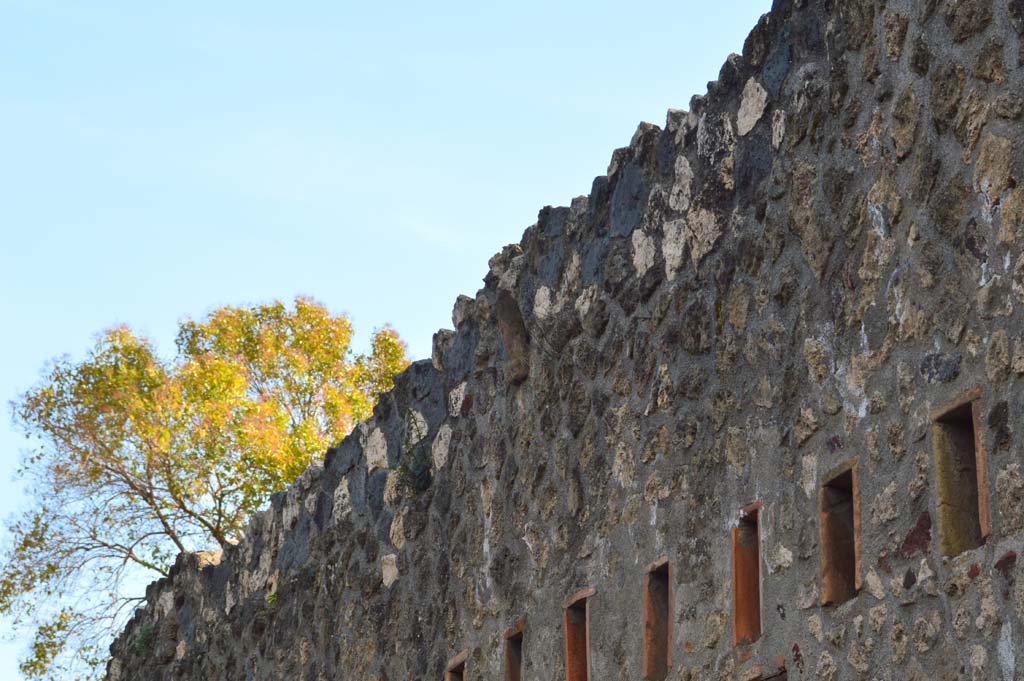 Vicolo di Paquius Proculus, Pompeii. March 2019. West wall of roadway, upper wall of I.10.15 with phallus set into wall.
Foto Taylor Lauritsen, ERC Grant 681269 DCOR.
