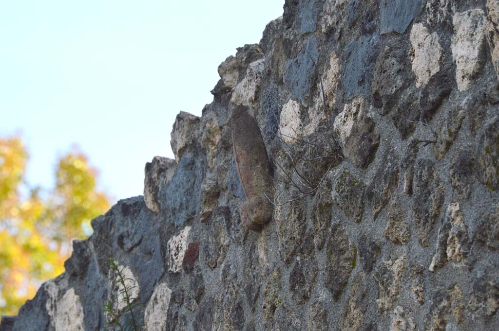 I.10.15 Pompeii. March 2019. Detail of phallus in upper west wall on Vicolo di Paquius Proculus. 
Foto Taylor Lauritsen, ERC Grant 681269 DCOR.
