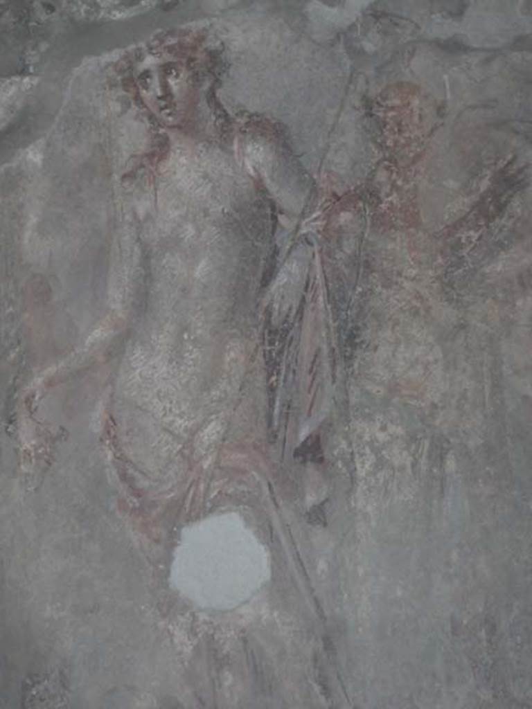 I.11.6 Pompeii. May 2015. Room 5, south wall of tablinum. Detail from wall painting of Dionysus. Photo courtesy of Buzz Ferebee.

