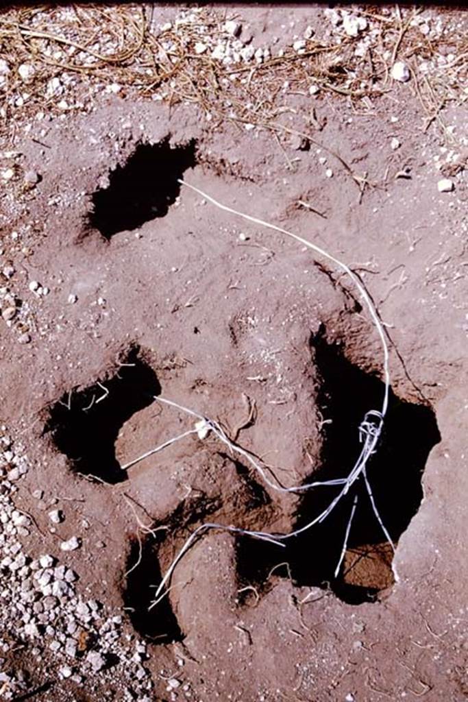 I.11.10 Pompeii. 1964. Wiring in cavity. Photo by Stanley A. Jashemski.
Source: The Wilhelmina and Stanley A. Jashemski archive in the University of Maryland Library, Special Collections (See collection page) and made available under the Creative Commons Attribution-Non Commercial License v.4. See Licence and use details.
J64f1679
