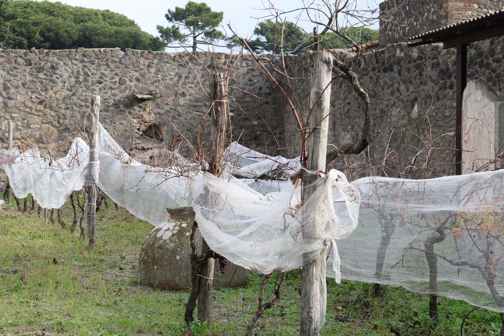 I.11.10 Pompeii, December 2018. 
Looking across garden area towards altar in east wall in south-east corner. Photo courtesy of Aude Durand.

