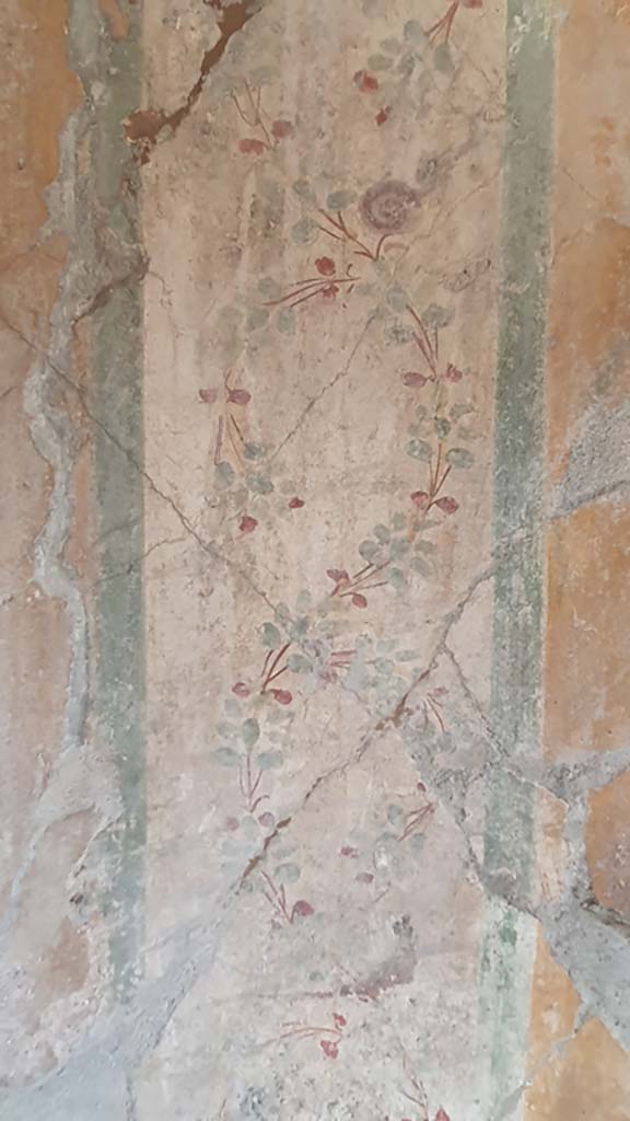 I.11.10 Pompeii. July 2021. Painted decoration on north wall.
Foto Annette Haug, ERC Grant 681269 DÉCOR.
