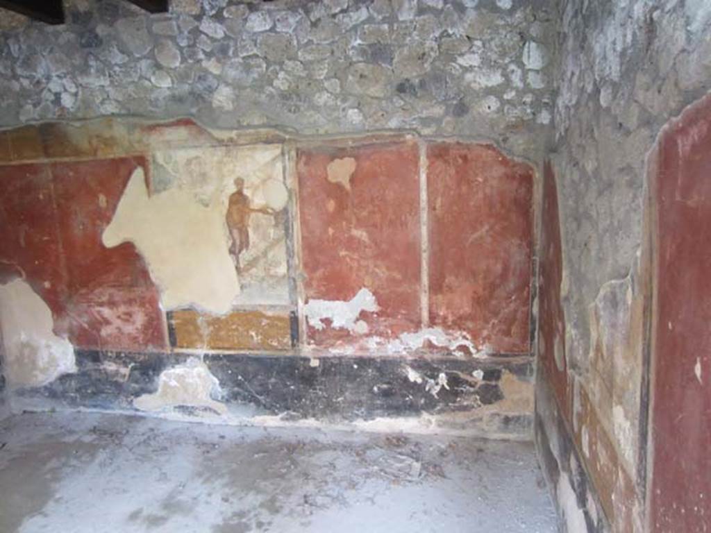 I.11.15. Pompeii. April 2012. Room 13, south wall of cubiculum. Photo courtesy of Marina Fuxa.
