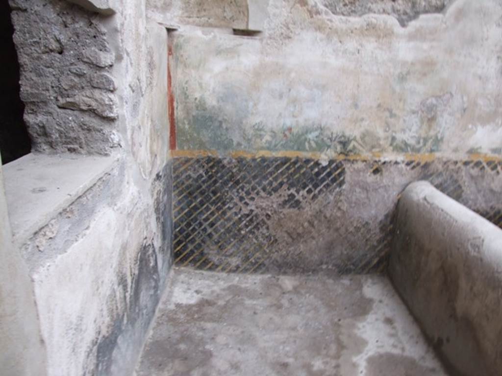 I.11.16 Pompeii. December 2007. Room 6, painted trellis pattern in north-west corner.