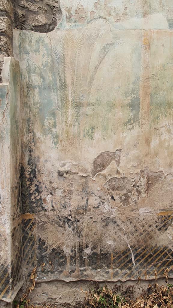 I.11.16 Pompeii. July 2021. Room 6, detail of painted plant from north wall at east end.
Foto Annette Haug, ERC Grant 681269 DÉCOR.

