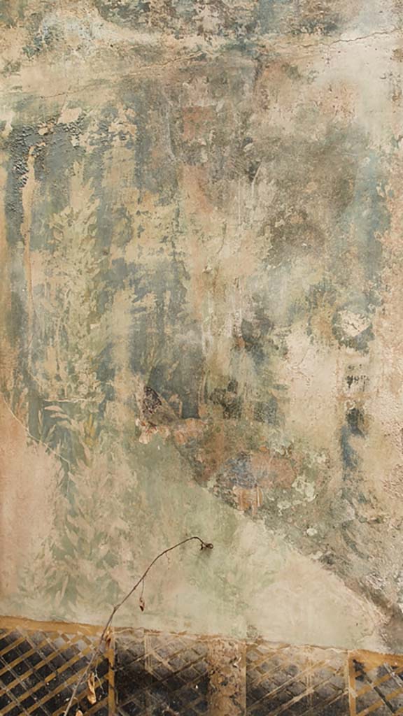 I.11.16 Pompeii. July 2021. Room 6, detail from east wall at north end.
Foto Annette Haug, ERC Grant 681269 DÉCOR.
