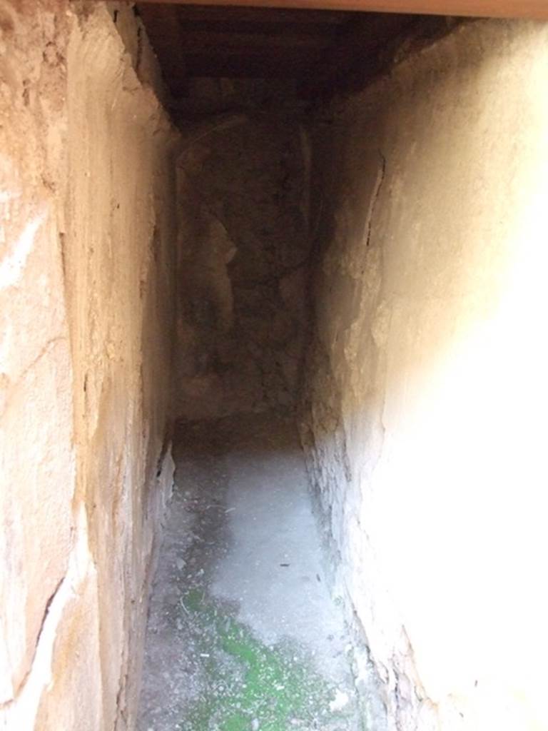 I.12.3 Pompeii. March 2009. Room 5.