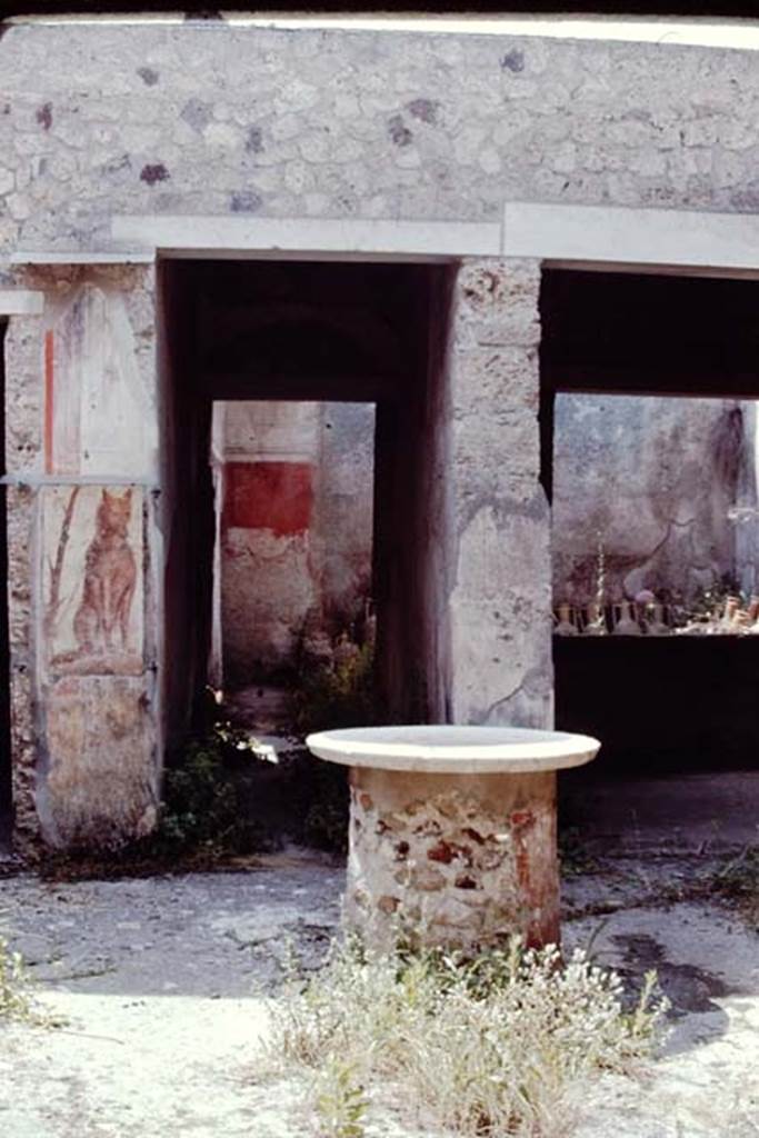 I.12.3 Pompeii. 1968. Room 6, garden area looking south from room 1.
South wall that used to show a garden painting, with a white bird visible at the rear.
Photo by Stanley A. Jashemski.
Source: The Wilhelmina and Stanley A. Jashemski archive in the University of Maryland Library, Special Collections (See collection page) and made available under the Creative Commons Attribution-Non-Commercial License v.4. See Licence and use details.
J68f0754