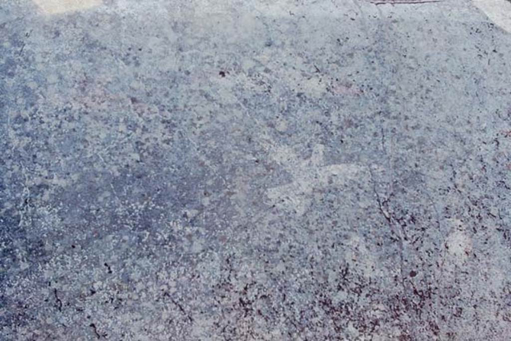 I.12.3 Pompeii, 1968. Painted bird from upper centre of south wall. Photo by Stanley A. Jashemski.
Source: The Wilhelmina and Stanley A. Jashemski archive in the University of Maryland Library, Special Collections (See collection page) and made available under the Creative Commons Attribution-Non Commercial License v.4. See Licence and use details. J68f0755