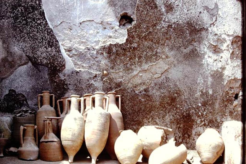 I.12.3 Pompeii. 1974. Room 6, looking towards west wall of garden area. Photo by Stanley A. Jashemski. .
Source: The Wilhelmina and Stanley A. Jashemski archive in the University of Maryland Library, Special Collections (See collection page) and made available under the Creative Commons Attribution-Non Commercial License v.4. See Licence and use details. J74f0850