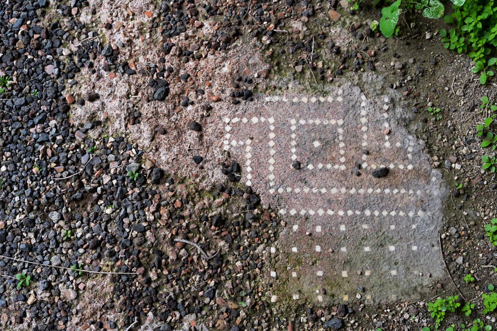 I.13.2 Pompeii. March 2023. Detail of flooring from centre of east (left) ala. Photo courtesy of Johannes Eber.

