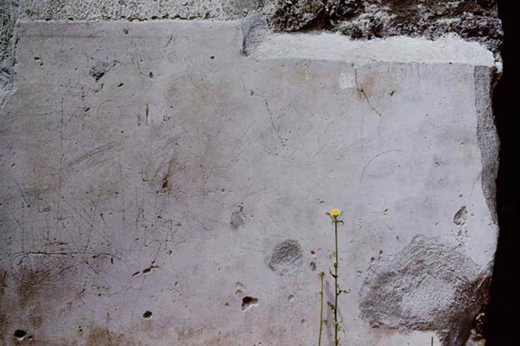 I.13.9 Pompeii. 1966. Inscription from south (left) of doorway. Photo by Stanley A. Jashemski.
Source: The Wilhelmina and Stanley A. Jashemski archive in the University of Maryland Library, Special Collections (See collection page) and made available under the Creative Commons Attribution-Non Commercial License v.4. See Licence and use details. J66f0274