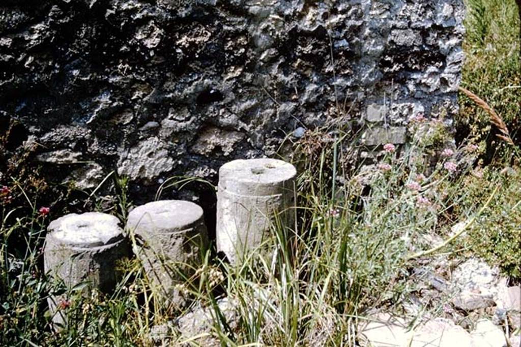 I.13.12 Pompeii. 1964. Garden area, with column remains.   Photo by Stanley A. Jashemski.
Source: The Wilhelmina and Stanley A. Jashemski archive in the University of Maryland Library, Special Collections (See collection page) and made available under the Creative Commons Attribution-Non Commercial License v.4. See Licence and use details.
J64f1643
