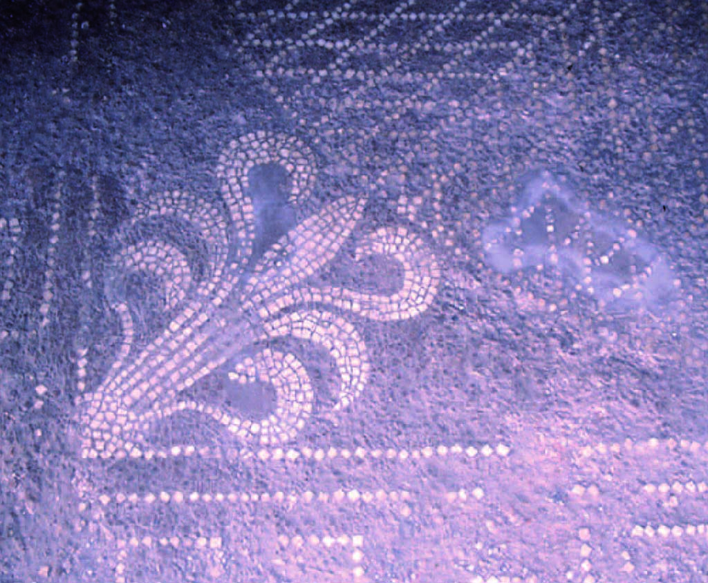 I.14.2 Pompeii. Room H, detail of palmette in mosaic floor.
Fig. 248  Palmette du pavement du salon de la maison I 14, 2 (photographie Vronique Blanc-Bijon).
Voir Vronique Blanc-Bijon : Les Sols in Magali Cullin-Mingaud, 2010. La vannerie dans l'Antiquit romaine: Collection du Centre Jean Brard 35. Paris. Centre Jean Berard, pp. 233-8, fig. 248. 
https://books.openedition.org/pcjb/706
