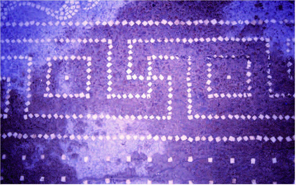 I.14.2 Pompeii. Room H, detail of meander in mosaic floor.
Fig. 247  Dtail du mandre du pavement du salon de la maison I 14, 2 (photographie Vronique Blanc-Bijon).
Voir Vronique Blanc-Bijon : Les Sols in Magali Cullin-Mingaud, 2010. La vannerie dans l'Antiquit romaine: Collection du Centre Jean Brard 35. Paris. Centre Jean Berard, pp. 233-8, fig. 247. 
https://books.openedition.org/pcjb/706
