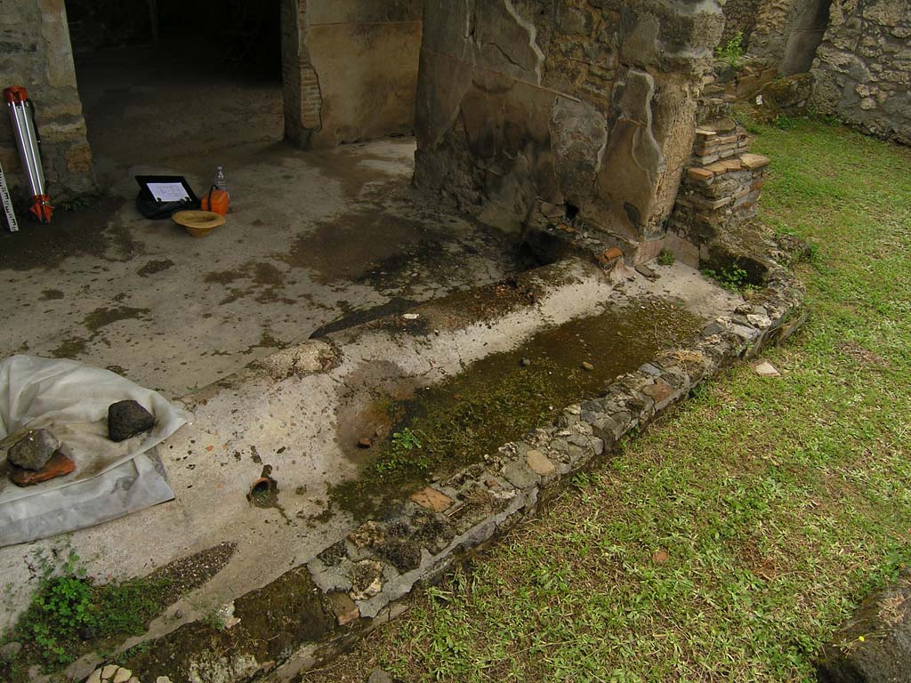 I.14.2 Pompeii. July 2008. Area L, west side, looking south. Photo courtesy of Guilhem Chapelin. 
According to Jashemski   a gutter along the west side of the house carried rain-water to a cistern under the stairs
See Jashemski, W. F., 1993. The Gardens of Pompeii, Volume II: Appendices. New York: Caratzas. (p.59)
