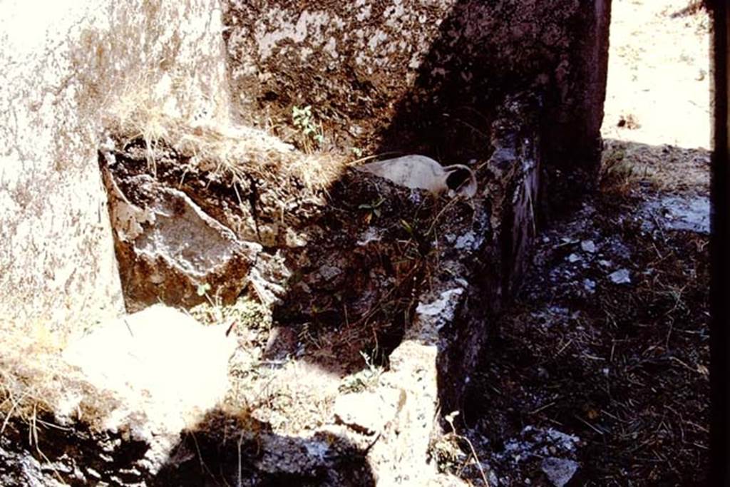 I.15.3 Pompeii. 1972. North side of kitchen, room 9, looking east towards peristyle. 
Photo by Stanley A. Jashemski. 
Source: The Wilhelmina and Stanley A. Jashemski archive in the University of Maryland Library, Special Collections (See collection page) and made available under the Creative Commons Attribution-Non Commercial License v.4. See Licence and use details. J72f0652  
