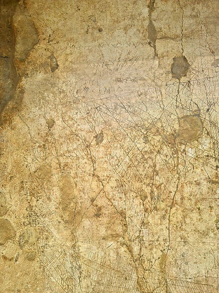 I.15.3 Pompeii. September 2024.
North wall of portico 10, graffiti above ship Europa. Photo courtesy of Giuseppe Ciaramella.
