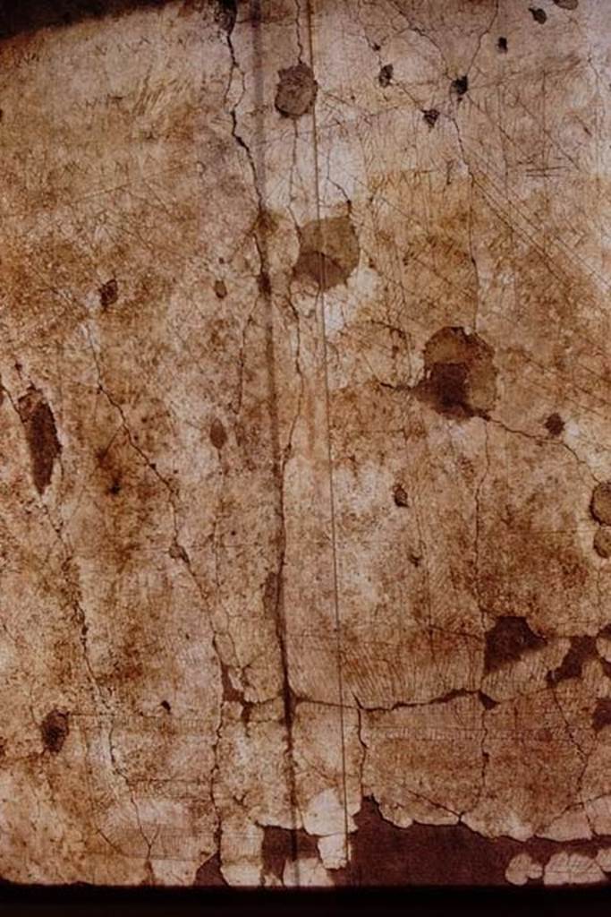 I.15.3 Pompeii. 1972. 
North wall of portico 10. Graffiti and ship Europa. Photo by Stanley A. Jashemski. 
Source: The Wilhelmina and Stanley A. Jashemski archive in the University of Maryland Library, Special Collections (See collection page) and made available under the Creative Commons Attribution-Non-Commercial License v.4. See Licence and use details.
J72f0129

