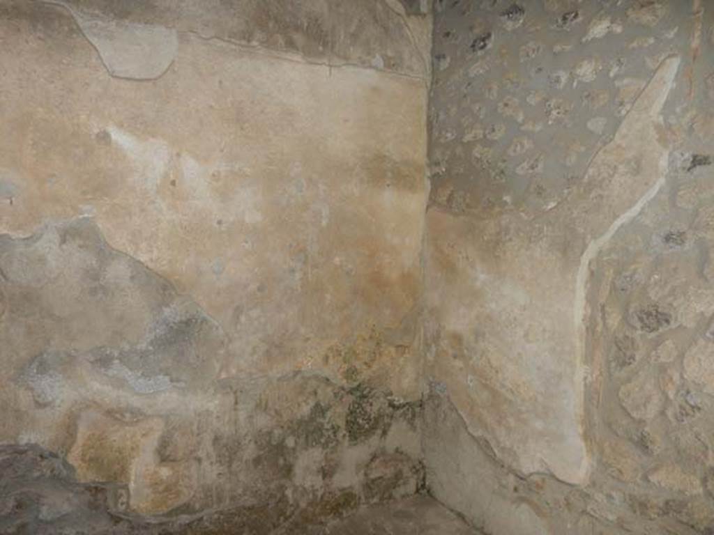 I.15.3 Pompeii. May 2015. Room 2, next to triclinium 1, north-east corner. 
Photo courtesy of Buzz Ferebee.
