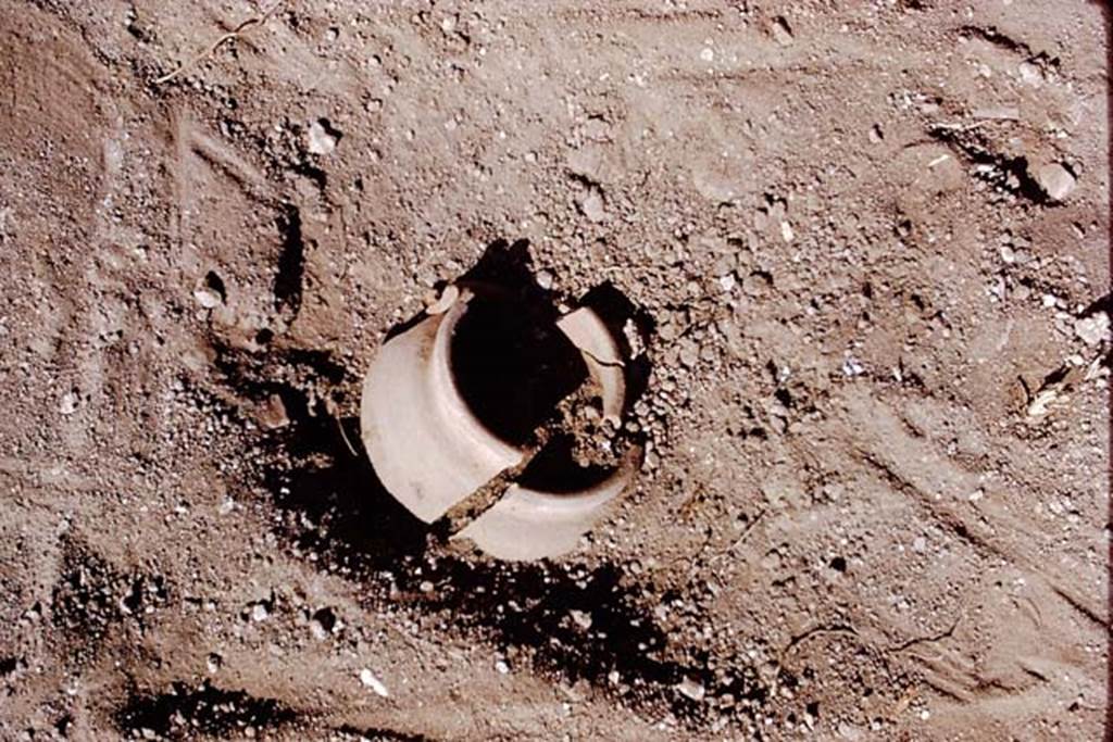 I.15.3 Pompeii. 1972. Buried plant-pot in the soil. Photo by Stanley A. Jashemski.. 
Source: The Wilhelmina and Stanley A. Jashemski archive in the University of Maryland Library, Special Collections (See collection page) and made available under the Creative Commons Attribution-Non Commercial License v.4. See Licence and use details. J72f0616
