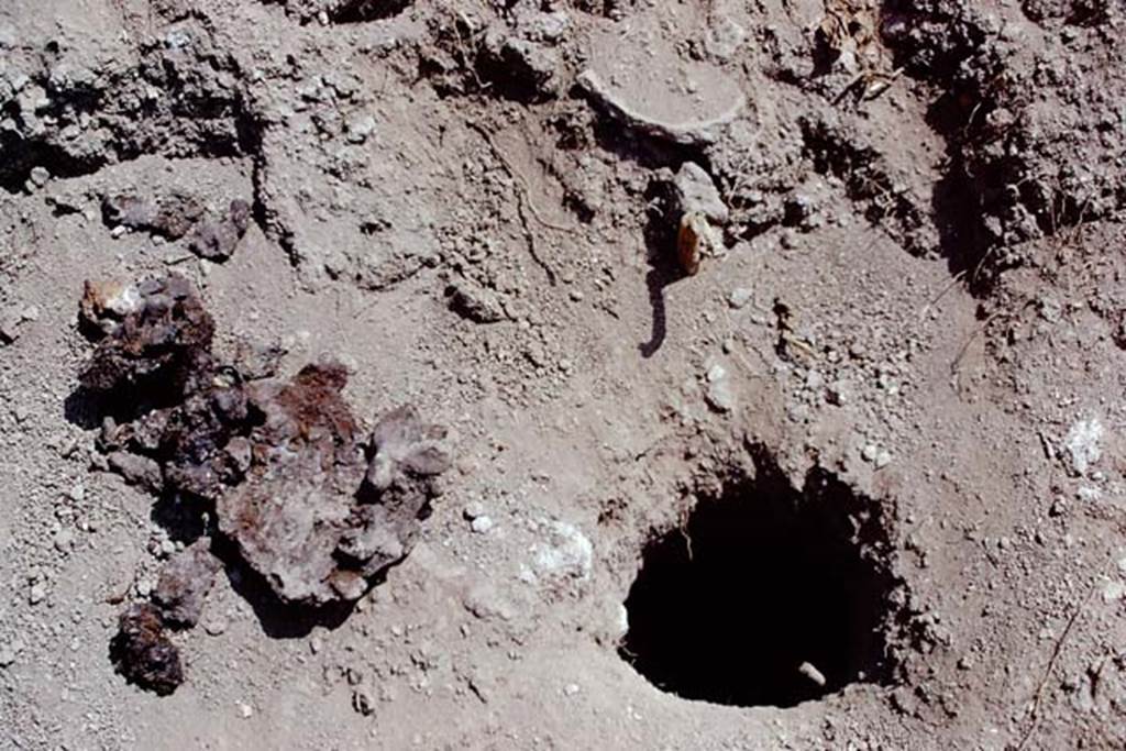 I.15.3 Pompeii. 1972. Carbonized plant material found in the soil. Photo by Stanley A. Jashemski. 
Source: The Wilhelmina and Stanley A. Jashemski archive in the University of Maryland Library, Special Collections (See collection page) and made available under the Creative Commons Attribution-Non Commercial License v.4. See Licence and use details. J72f0650
