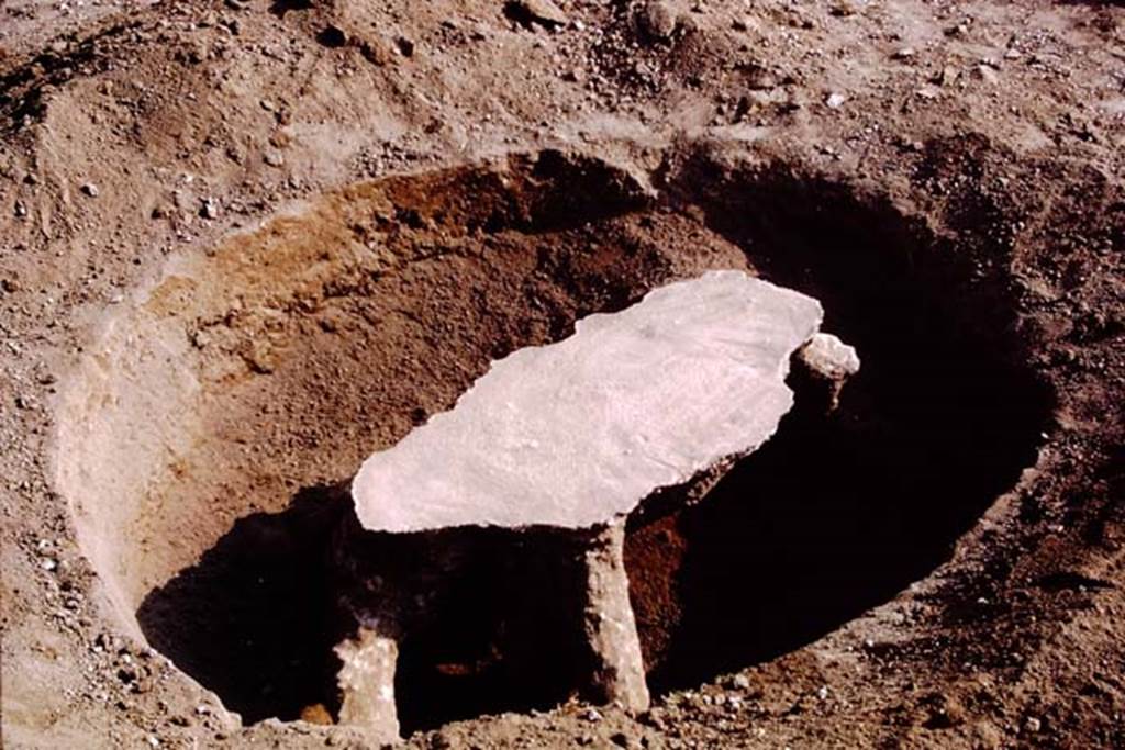 I.15.3 Pompeii, 1973. The finished tree-root. Photo by Stanley A. Jashemski. 
Source: The Wilhelmina and Stanley A. Jashemski archive in the University of Maryland Library, Special Collections (See collection page) and made available under the Creative Commons Attribution-Non Commercial License v.4. See Licence and use details. J73f0517
