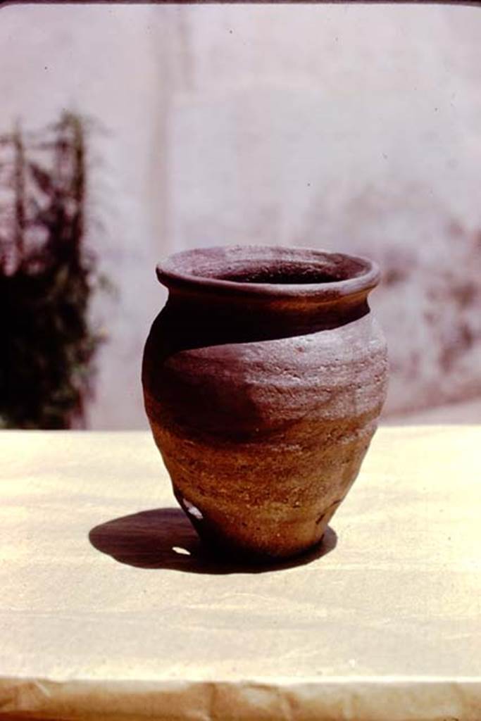I.15.3 Pompeii, 1973. Detail of terracotta pot. Photo by Stanley A. Jashemski. 
Source: The Wilhelmina and Stanley A. Jashemski archive in the University of Maryland Library, Special Collections (See collection page) and made available under the Creative Commons Attribution-Non Commercial License v.4. See Licence and use details. J73f0188
